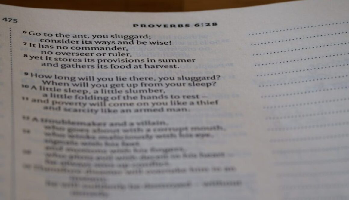 Libretto operowe – słowa, które stają się muzyką